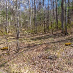306 Cedar Creek Farm Road