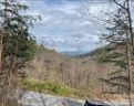 92 Mountain Magnolia Drive sold home in Leicester, SC