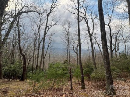 27 Deer Grass Court active home in The Cliffs At Walnut Cove, Arden, NC