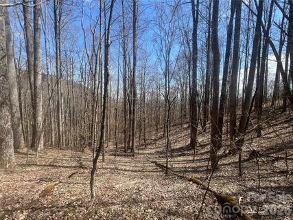 200 Wolverine Court active home in The Willows, Waynesville, NC
