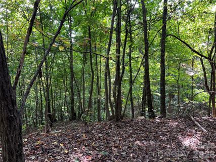 0 Old Forge Drive sold home in The Summit, Bostic, NC