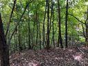 0 Old Forge Drive sold home in Bostic, SC