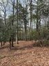 1553 Country View Way sold home in Arden, SC