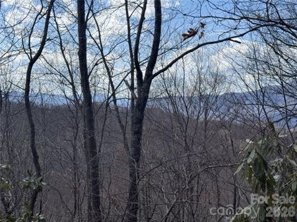 81 Boarding House Way active home in Balsam Mountain Preserve, Sylva, NC