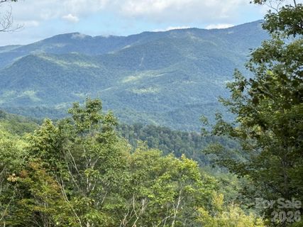Lt 262 Tote Road active home in Balsam Mountain Preserve, Sylva, NC
