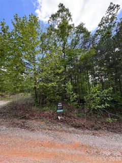 Homes in Dobsons Knob, Marion