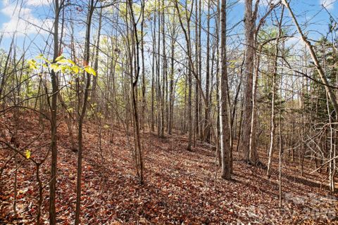 Lot 62 Dirksen Avenue active home in Blackberry Creek, Nebo, NC