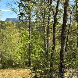 284 Bear Cliff Circle