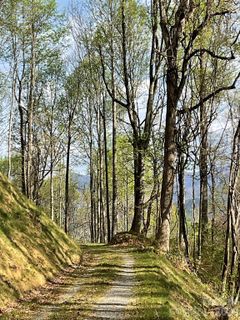 Homes in High Hickory, Swannanoa