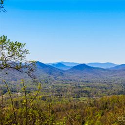 5 Soaring Hawk View