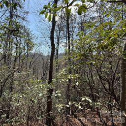 00 Line Runner Ridge Road