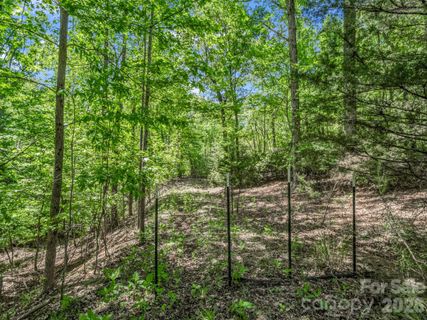 206 Westmoreland Trail