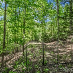 206 Westmoreland Trail