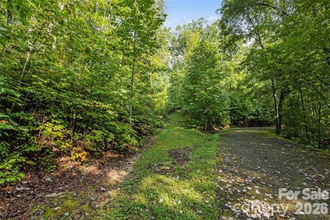 Tbd Barts Branch Drive active home in Sweetwater Ridge, Balsam Grove, NC