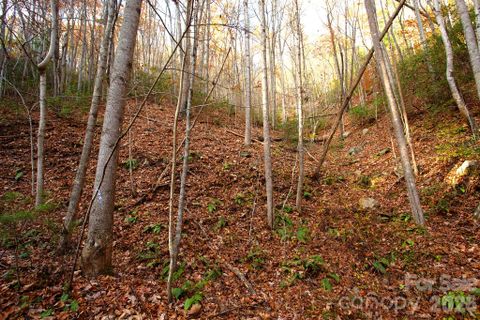 Tbd Rector Branch Road