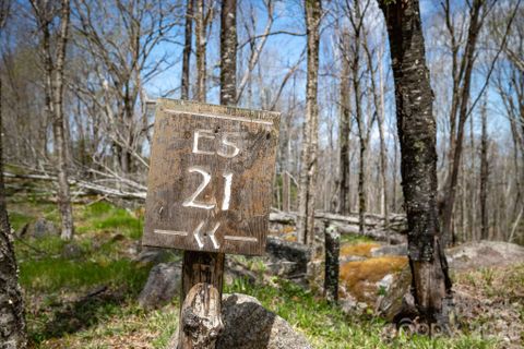 Es 21 Eagle Springs Trail active home in The Lodges At Eagles Nest, Banner Elk, NC