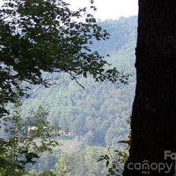 100 Black Bear Ridge Trail