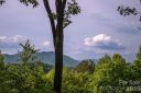 339 Honey Locust Trail sold home in Whittier, SC