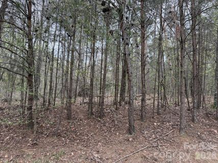 0 Whisper Lake Drive active home in Heron Bay, New London, NC