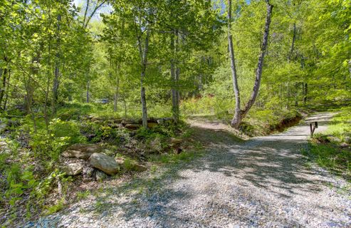 109 99999 Apgar Road