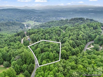 168 Tarnhill Drive active home in Kenmure, Flat Rock, NC