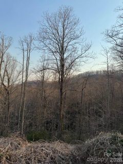 910 Morgan Hill Road active home in Living Waters, Black Mountain, NC
