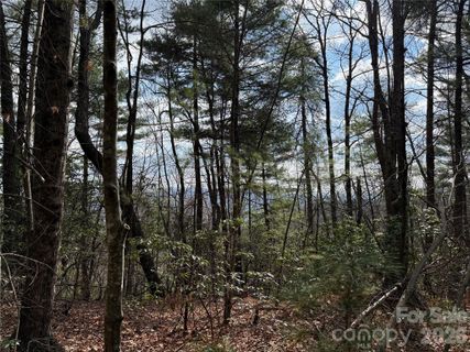 Tbd Staghorn Road active home in Buck Mountain, Purlear, NC