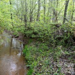 0 Flowing Ivy Lane