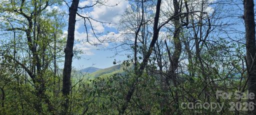 Homes in High Cliffs At Round Mountain, Black Mountain