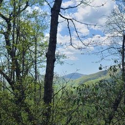 102 High Cliffs Trail
