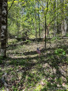 Lot 34 Buckeye Creek Road
