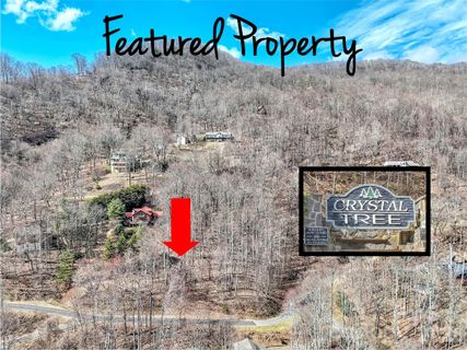 Homes in Crystal Tree, Waynesville