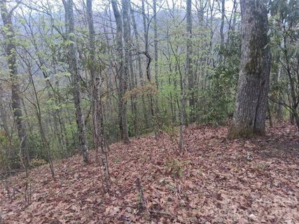 0000 Bear Creek Road active home in Smokey Mountain Acres, Maggie Valley, NC