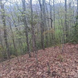 0000 Bear Creek Road