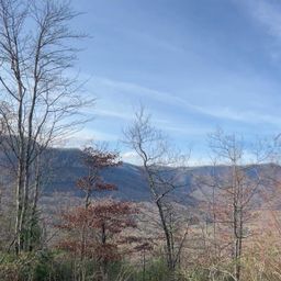 Lot 51b Wilderness Drive
