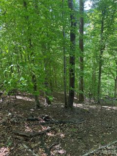 0 Creekside Circle active home in Clearwater Creek, Rutherfordton, NC