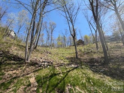 20 Cliff S Edge Drive active home in Mountain Air, Burnsville, NC