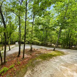 137 Bird Song Road