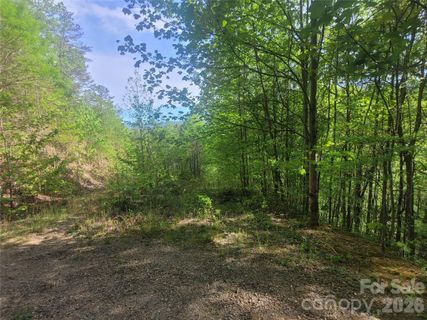 99999 Wolverine Court active home in The Willows, Waynesville, NC