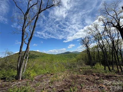 Tbd E Garden Trail active home in Sprout, Hendersonville, NC