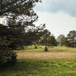 4255 Plank Road