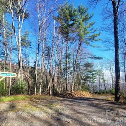 111 Digging Seng Trail