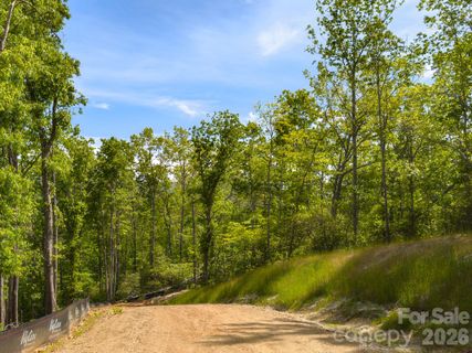 10 1 Acres On Old Fort Road