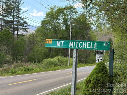 000 Mt Mitchell Drive