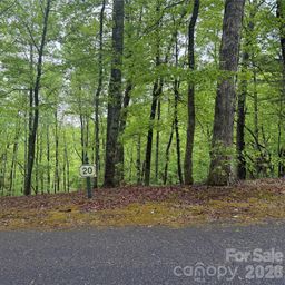 39 Black Bear Ridge Trail