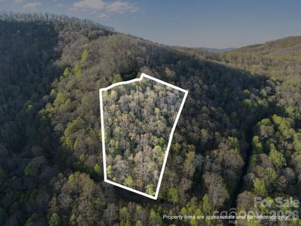 58 Mountain Azalea Drive active home in Alpine Mountain, Swannanoa, NC