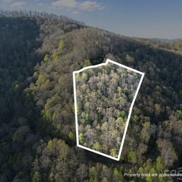 58 Mountain Azalea Drive