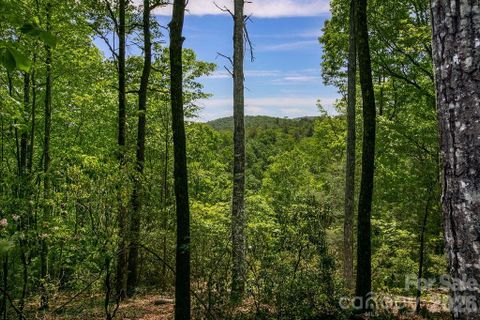 Tbd Diamond Creek Road