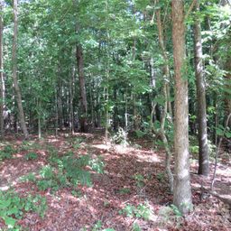 0 S Woodleaf Road