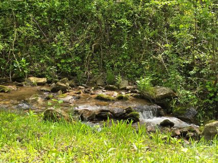 99999 Roaring Fork Road